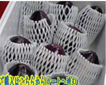 No11  生水なす１０個入り